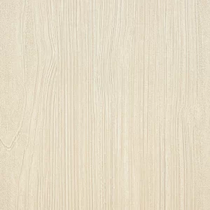 BEYOND BASICS / Sequoia