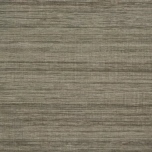 BEYOND BASICS / Spun Silk