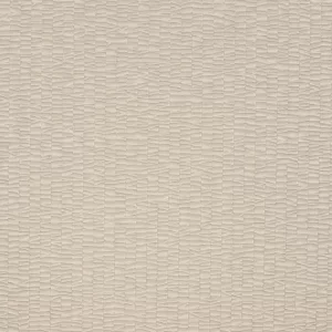 SIGNATURE / Streamers