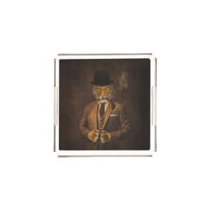 Alternative view of PLEXY TRAY / PT2100