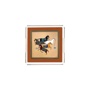 Alternative view of PLEXY TRAY / PT2111