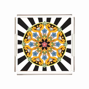 Alternative view of PLEXY TRAY / PT2112