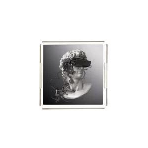 Alternative view of PLEXY TRAY / PT2131