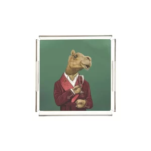 Alternative view of PLEXY TRAY / PT2102