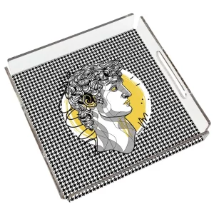 PLEXY TRAY / PT2132