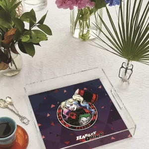 Alternative view of PLEXY TRAY / PT2148