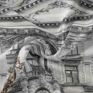 Alternative view of P308-1 CURTAINS