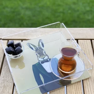 Alternative view of PLEXY TRAY / PT2103