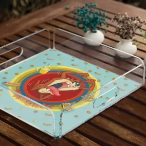 Alternative view of PLEXY TRAY / PT2155