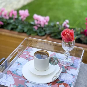 Alternative view of PLEXY TRAY / PT2105