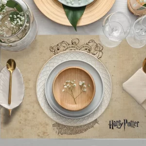 Alternative view of PLACE MATS / ASK2154