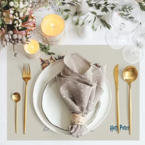 Alternative view of PLACE MATS / ASK2156