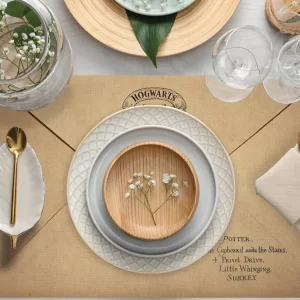 Alternative view of PLACE MATS / ASK2157