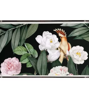 Alternative view of PLEXY TRAY / PT2123