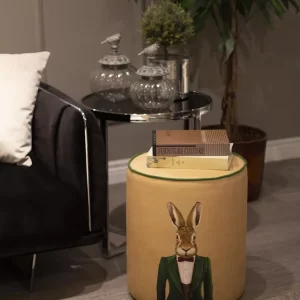 Alternative view of POUF / PUF107