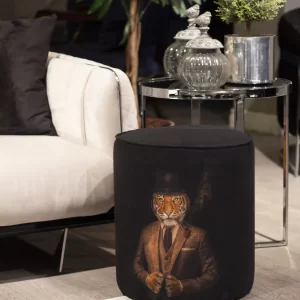 Alternative view of POUF / PUF109