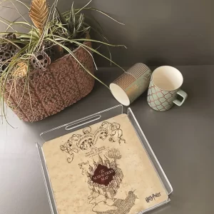 Alternative view of PLEXY TRAY / PT2164