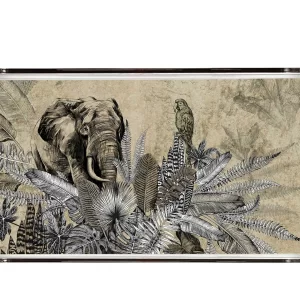 Alternative view of PLEXY TRAY / PT2121