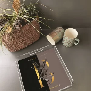 Alternative view of PLEXY TRAY / PT2161