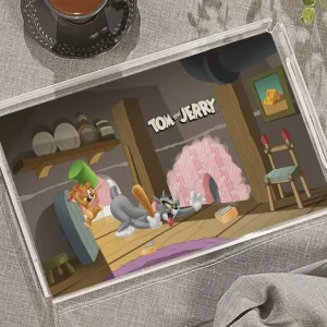 PLEXY TRAY / PT2172