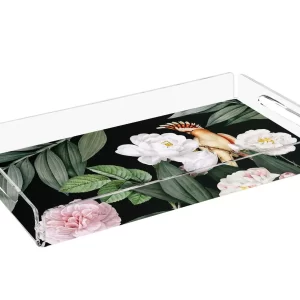 PLEXY TRAY / PT2123