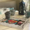 PLEXY TRAY / PT2154 - Image 4