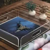 PLEXY TRAY / PT2156 - Image 3