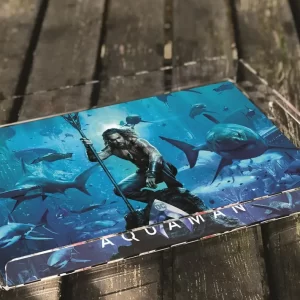 Alternative view of PLEXY TRAY / PT2152