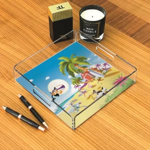 Alternative view of PLEXY TRAY / PT2159