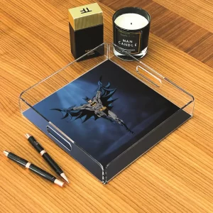 Alternative view of PLEXY TRAY / PT2156