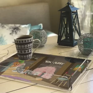 Alternative view of PLEXY TRAY / PT2172