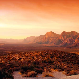 Alternative view of DUNE 32548 Digital Print