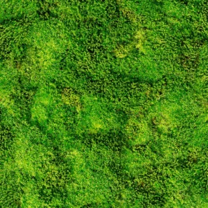 Whiteline décor wallpaper