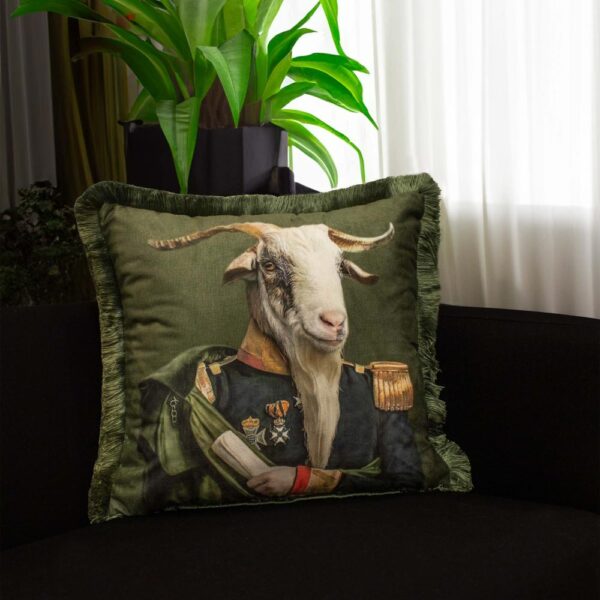 CUSHION / EY381