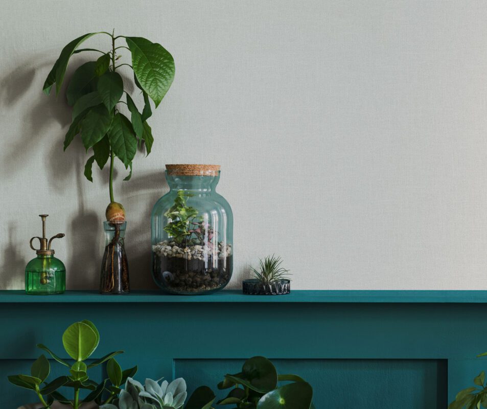 Whiteline Decor shop