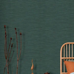 Alternative view of IMANI