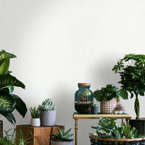 Alternative view of FRESH UP